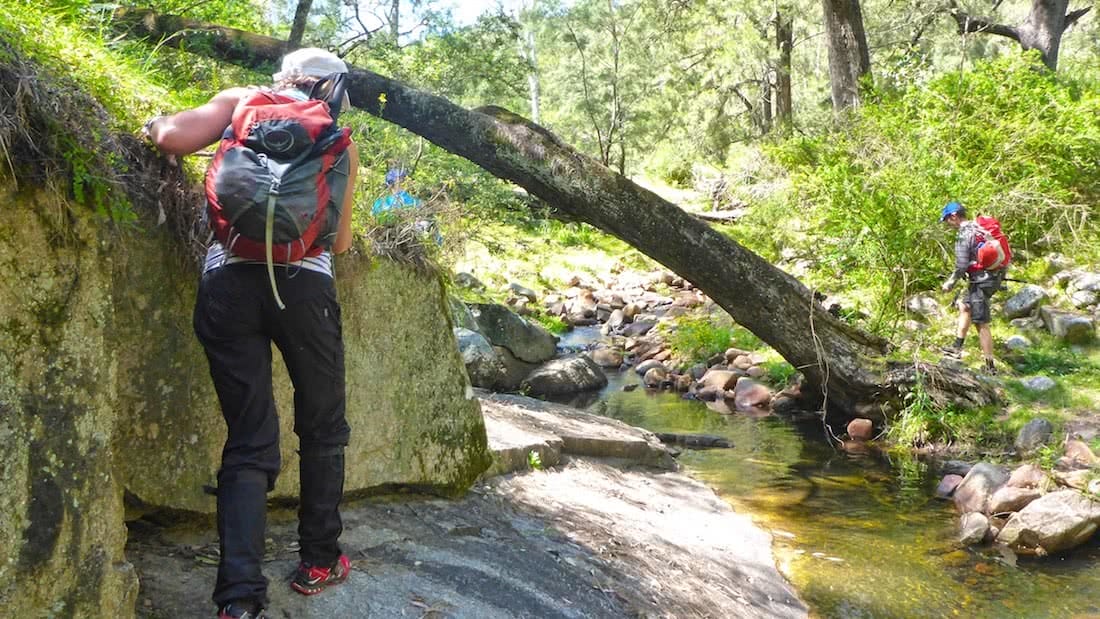 Exploring Galong Creek // Blue Mountains (NSW), photo by Caro Ryan, lotsafreshair, blue mountains, nsw,