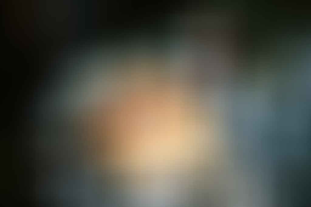 DSCF7298