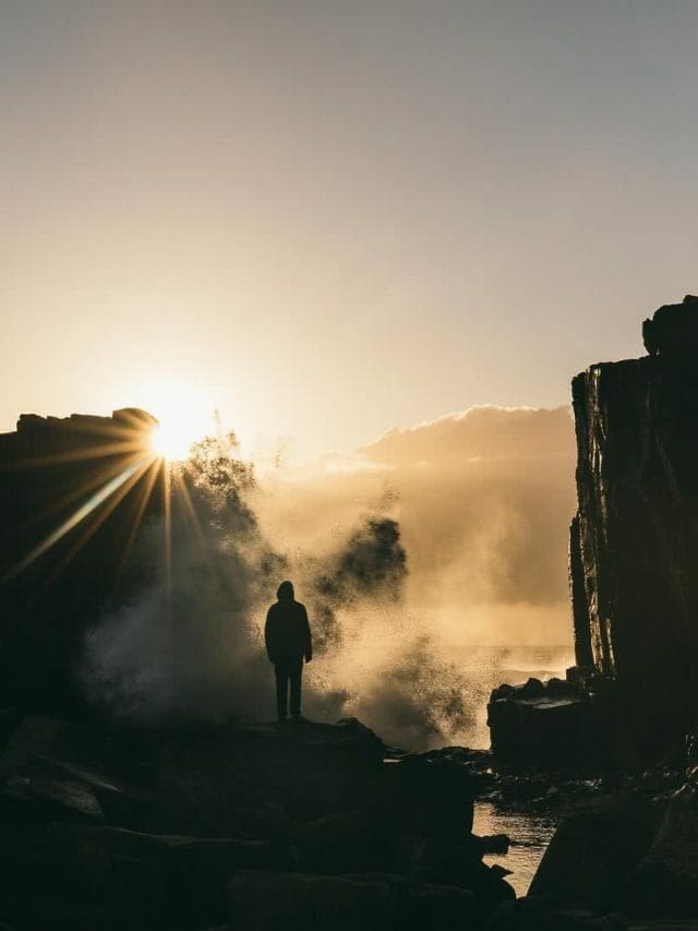 10 Best Walks & Hikes Around Wollongong & Illawarra