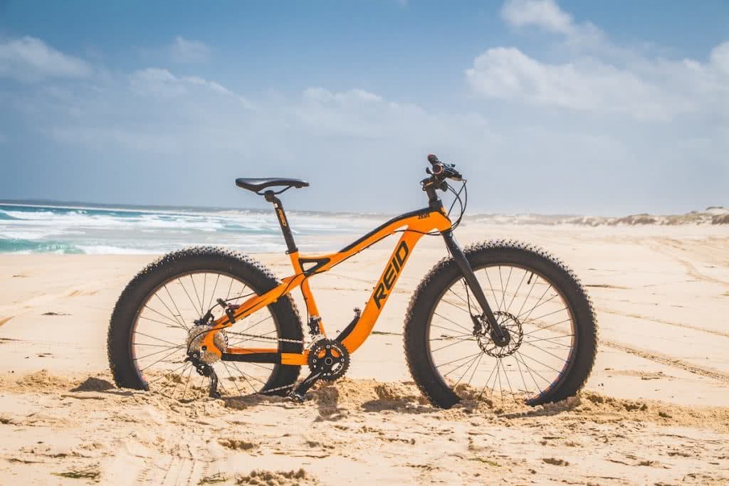 Reid fat bike online