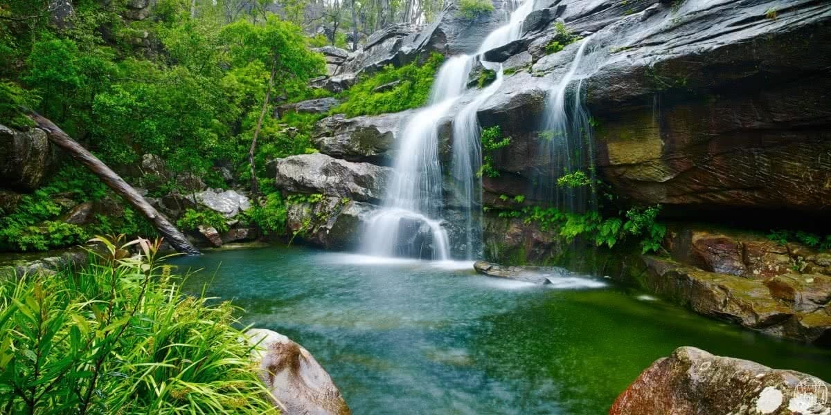6 Wild Swimming Paradises in NSW Rachel Lewis Andy Lewis Scout's Falls, waterfall, swimming hole, rocks, bushes, water