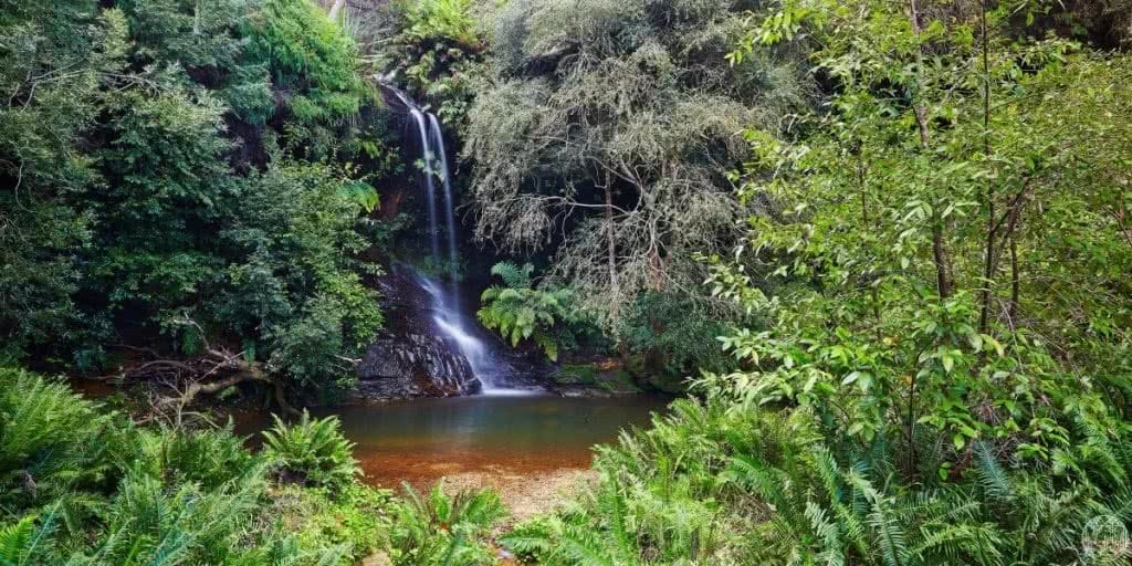 6 Wild Swimming Paradises in NSW Rachel Lewis Andy Lewis Lyrebird dell, waterfall, swimming hole, rocks, bushes, water