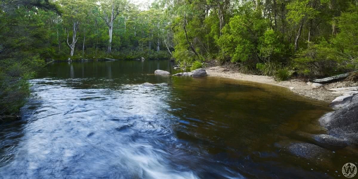 6 Wild Swimming Paradises in NSW Rachel Lewis Andy Lewis Mulligan's Hut, swimming hole, water, trees, waterhole