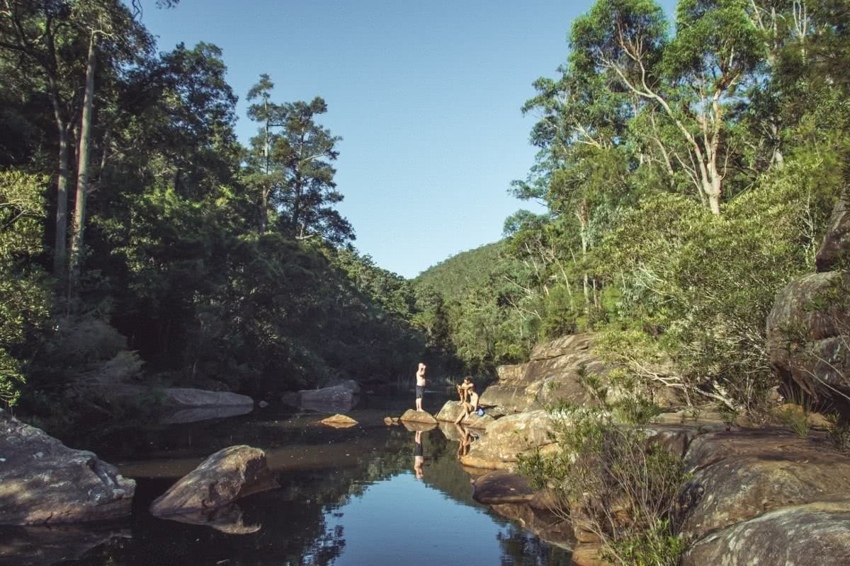 Glenbrook to Springwood Walk Henry Brydon