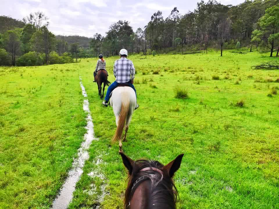 Cowboys and the Hunter Valley (NSW) Angharad Rees horse rider field