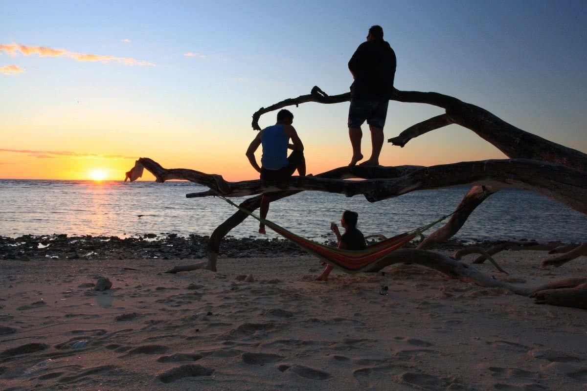 Marooned on a Tropical Australian Island // Lady Musgrave Island (QLD) Tropical Australian Island Joel Johnsson Lady Musgrave Island sunset tree