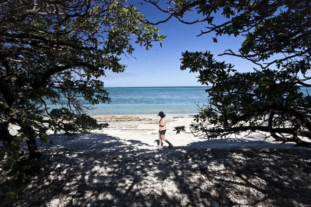 Marooned on a Tropical Australian Island // Lady Musgrave Island (QLD) Tropical Australian Island Joel Johnsson Lady Musgrave Island ocean beach