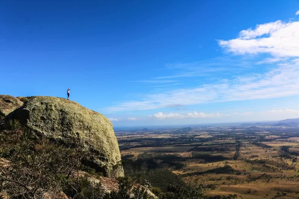 mt walsh scout hinchcliffe