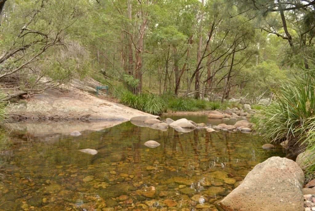 Lower Portals Mount Barney Queensland Lisa Owen, Mount Barney Creek, water, trees
