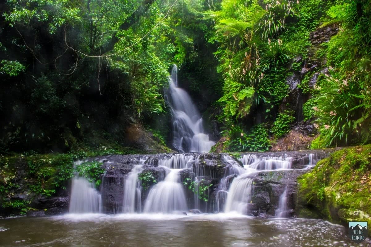 Box Forest Circuit jacquie tapsall queensland