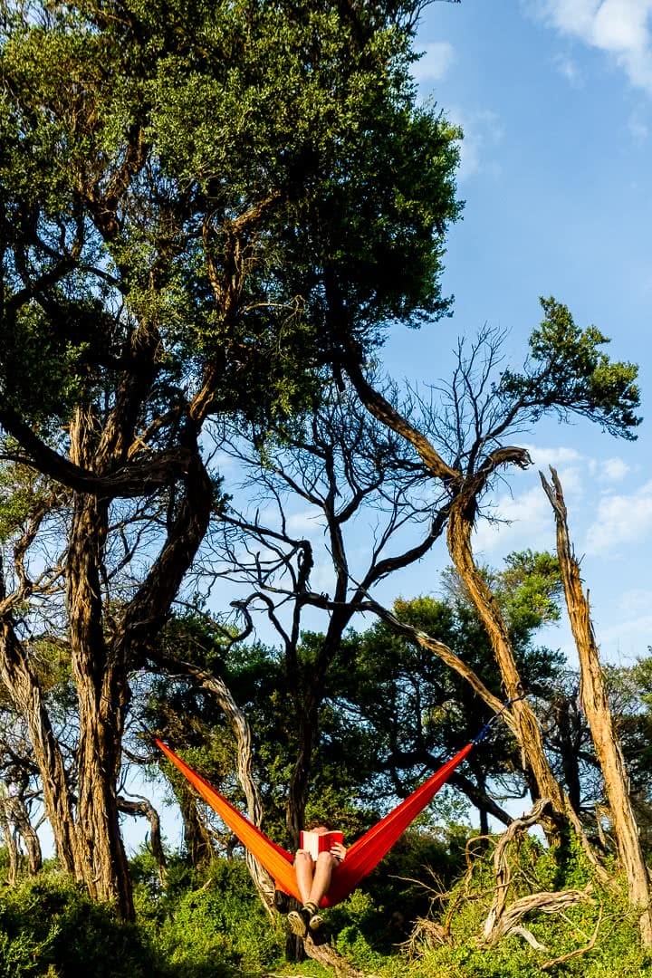 Tidal River Campground // Wilsons Promontory (VIC) Jack Brookes, hammock, trees, bush