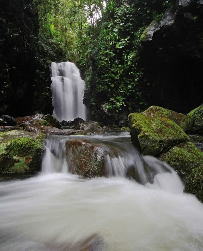 Wild & Free at Lamington National Park (QLD) - We Are Explorers