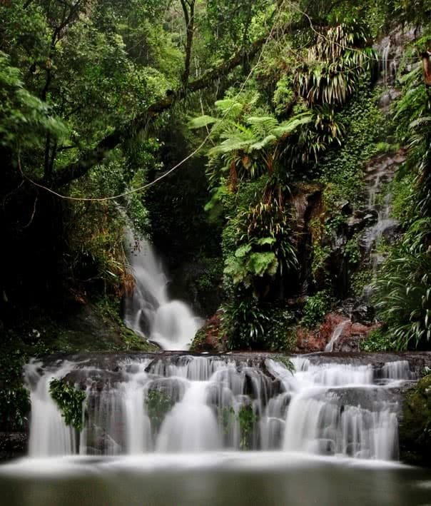 Emily-Ann Marskell lamington national park gold coast hinterland waterfall wild swimming