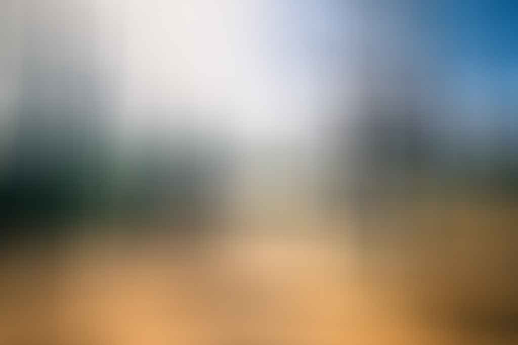Essential Gear for Bikepacking Adventures, Henry Brydon, mountain bikes, red dirt road, trees, sky, two guys