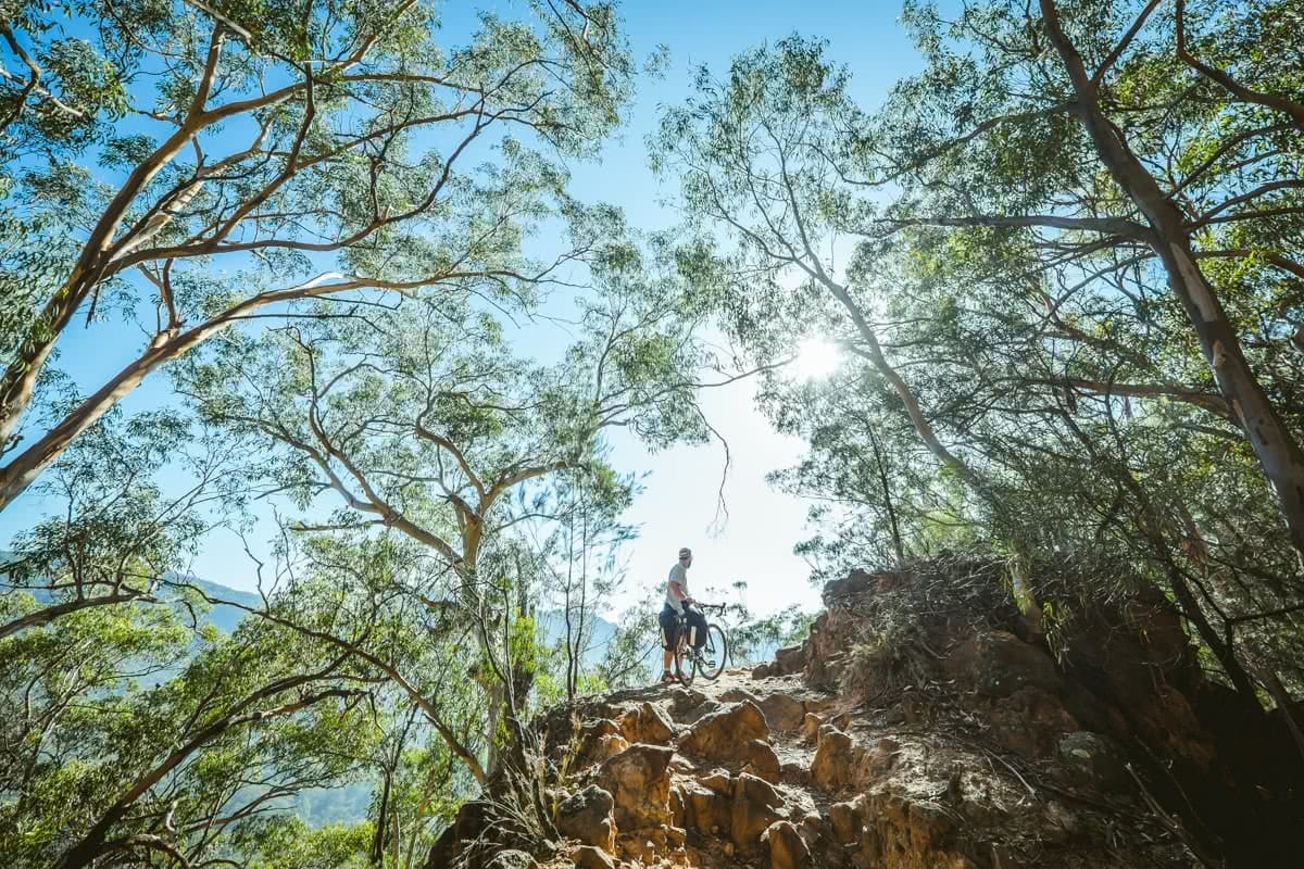 Glow Worm Tunnels Wollemi National Park NSW Reid Granite Review Henry Brydon, bike, man, lookout, trees, sun