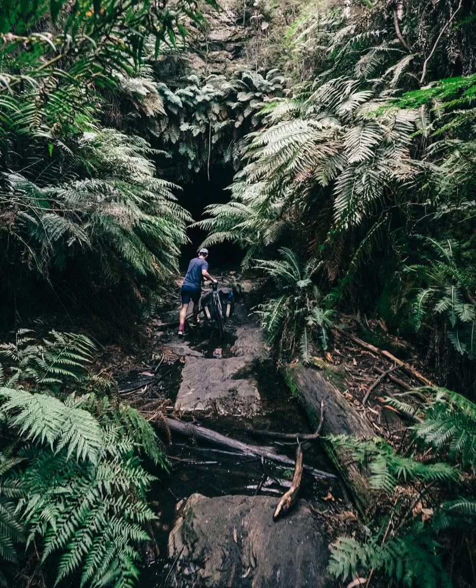 Glow Worm Tunnels Wollemi National Park NSW Reid Granite Review Henry Brydon, bike, man, ferns