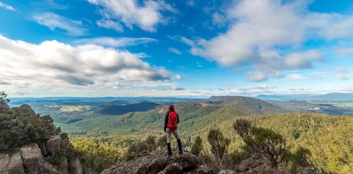 Middle Tier Viewpoint Middle Tier Pano. Isaac Crebert Minnow Falls Tasmania