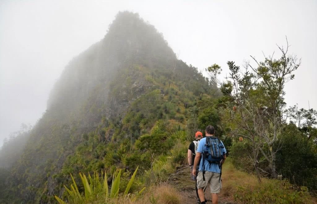 Summit Mt Mitchell and Mt Cordeaux // Main Range National Park (QLD) hikers backpack trail