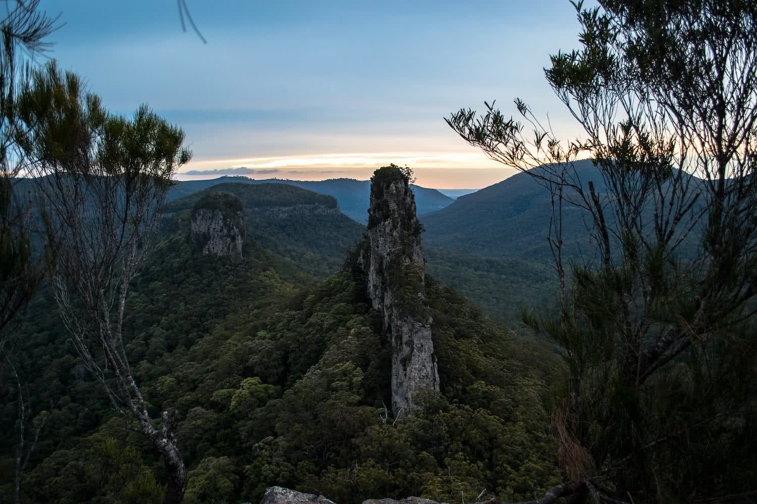 dan parkes, bushies untamed, main range national park, queensland, australia, bush