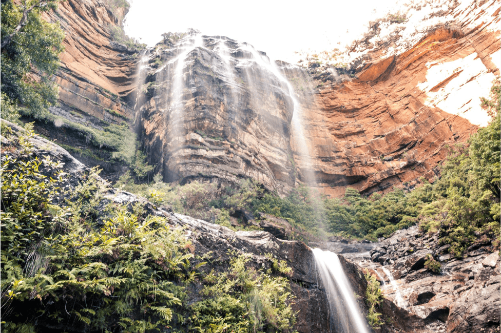 Wentworth Falls Without A Car (NSW), Sam Wilson, waterfall, looking up, water, trees, amphitheatre