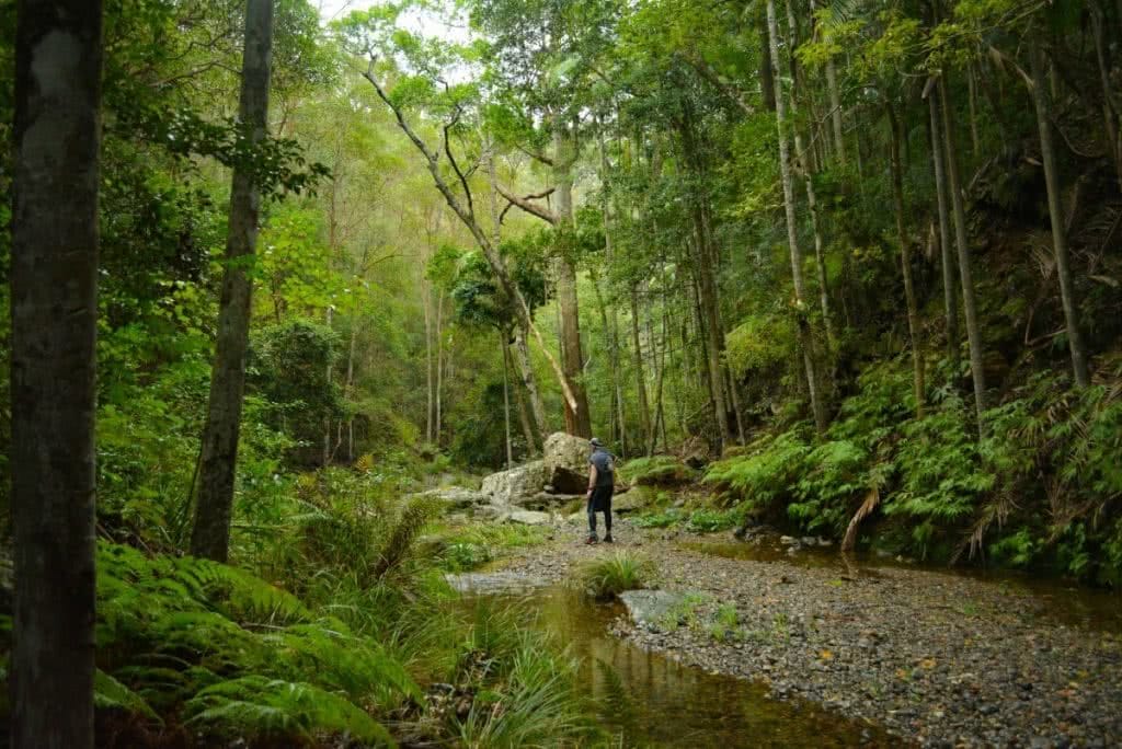 An Adventurous Brisbane Escape // D’Aguilar National Park (QLD), Lisa Owen, Trees, stream, hiker, pebbly beach