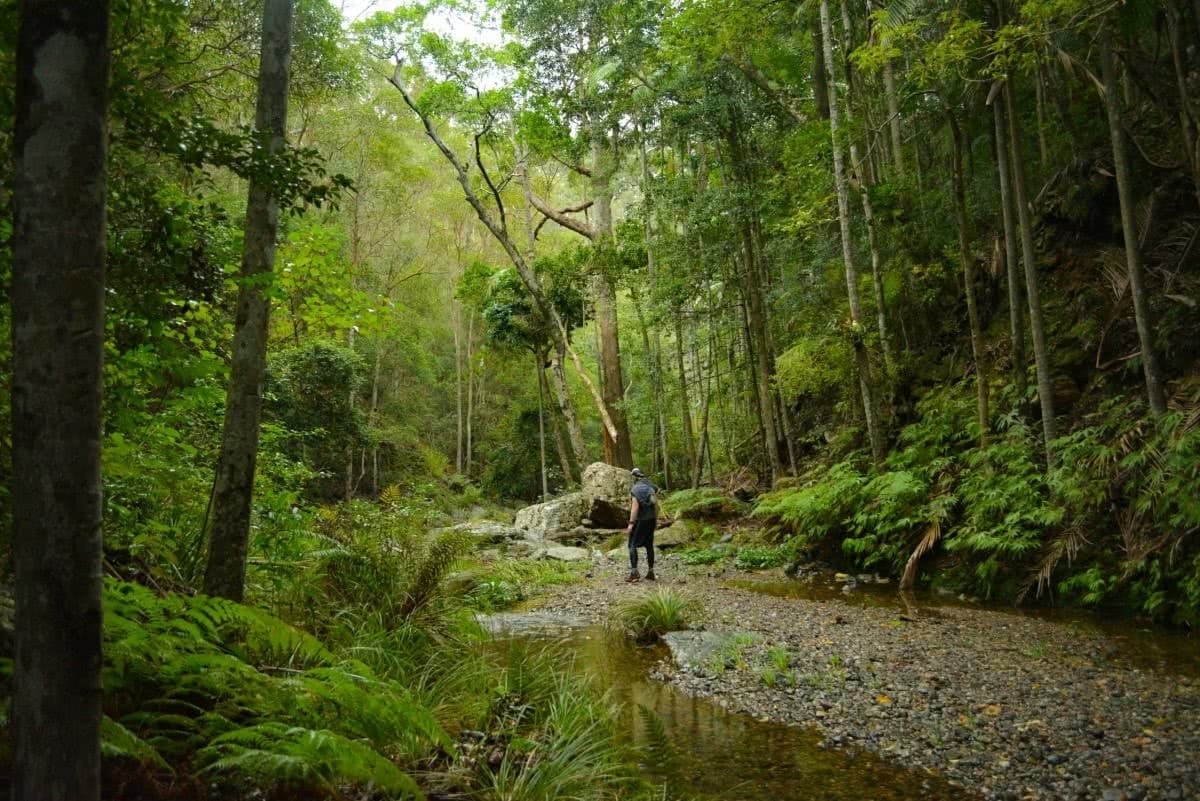 An Adventurous Brisbane Escape // D’Aguilar National Park (QLD), Lisa Owen, Trees, stream, hiker, pebbly beach