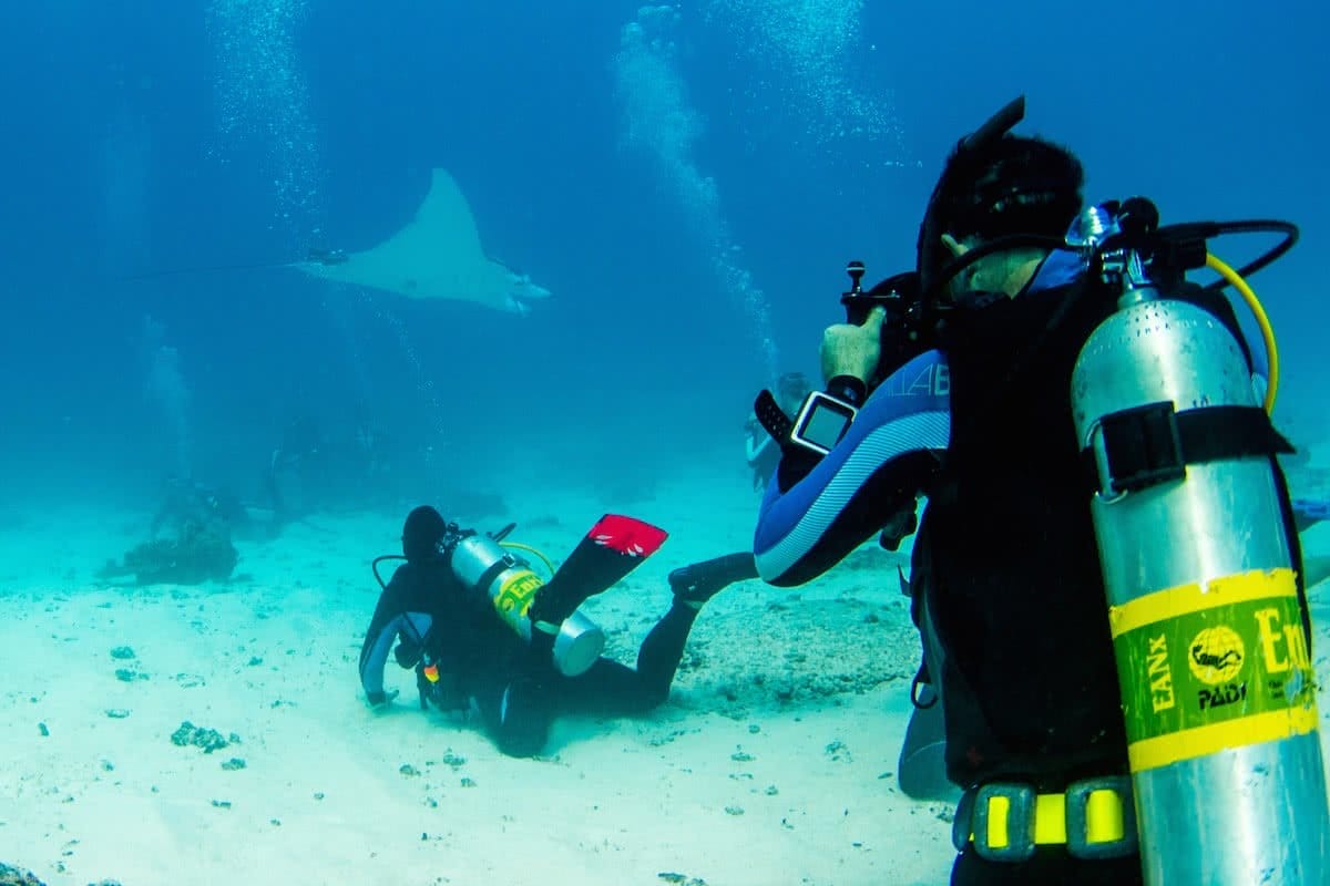 Jules Ingall Lady Elliot Island Eco Adventure (QLD) scuba diving great barrier reef hero stingray manta ray