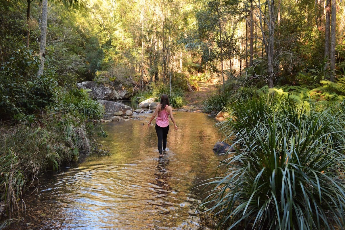 Cronan Creek Secret Falls (QLD) Lisa Owen creek crossing, hiker