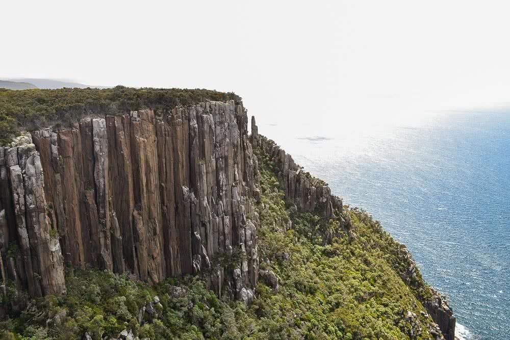 Let the Cliffs be your Guide // Cape Raoul (TAS) Dan Parkes, cliffs, ocean, bush, sunshine