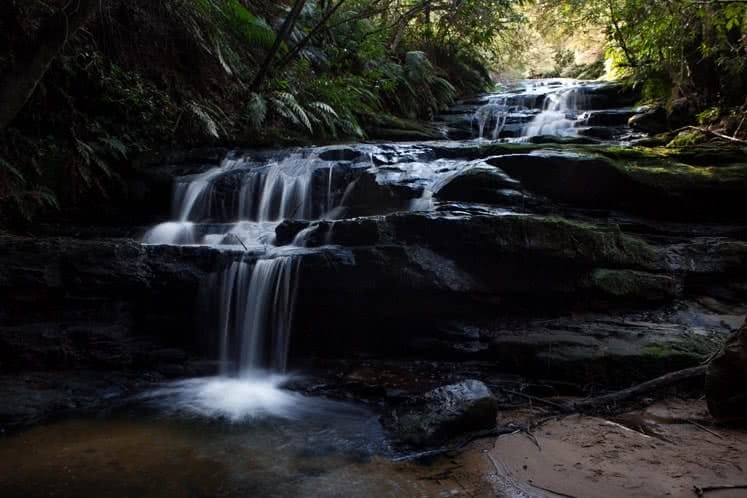 What Goes Down, Must Come Up // Leura Cascades to the Giant's Stairway (NSW), Lachy Firmstone, water, splash, ferns, forest