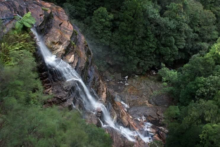 What Goes Down, Must Come Up // Leura Cascades to the Giant's Stairway (NSW), Lachy Firmstone, waterfall, wedding cake rock, layers, woods, trees