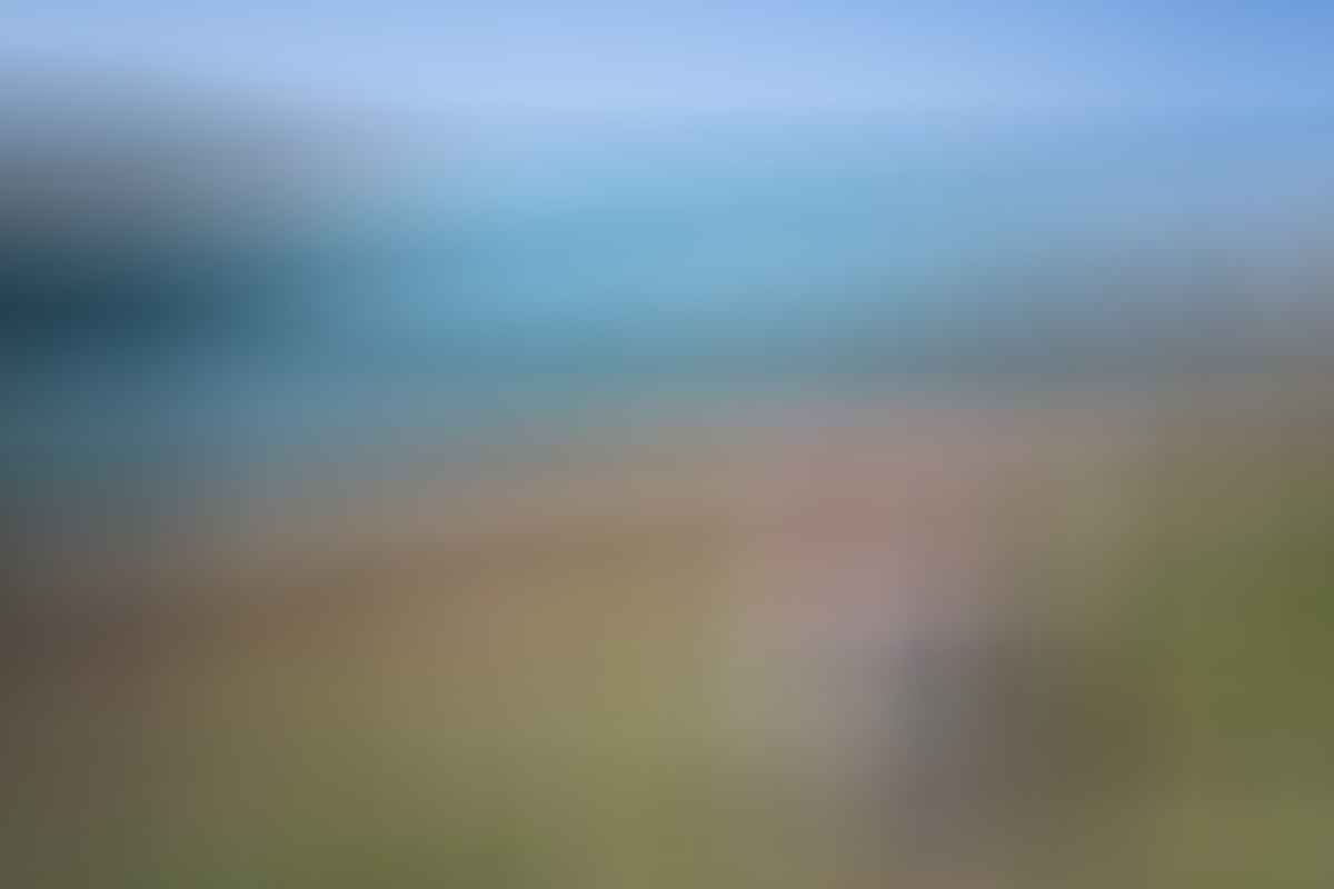 Pure Isolation // Pebbly Beach (NSW) Jon Harris surf beach