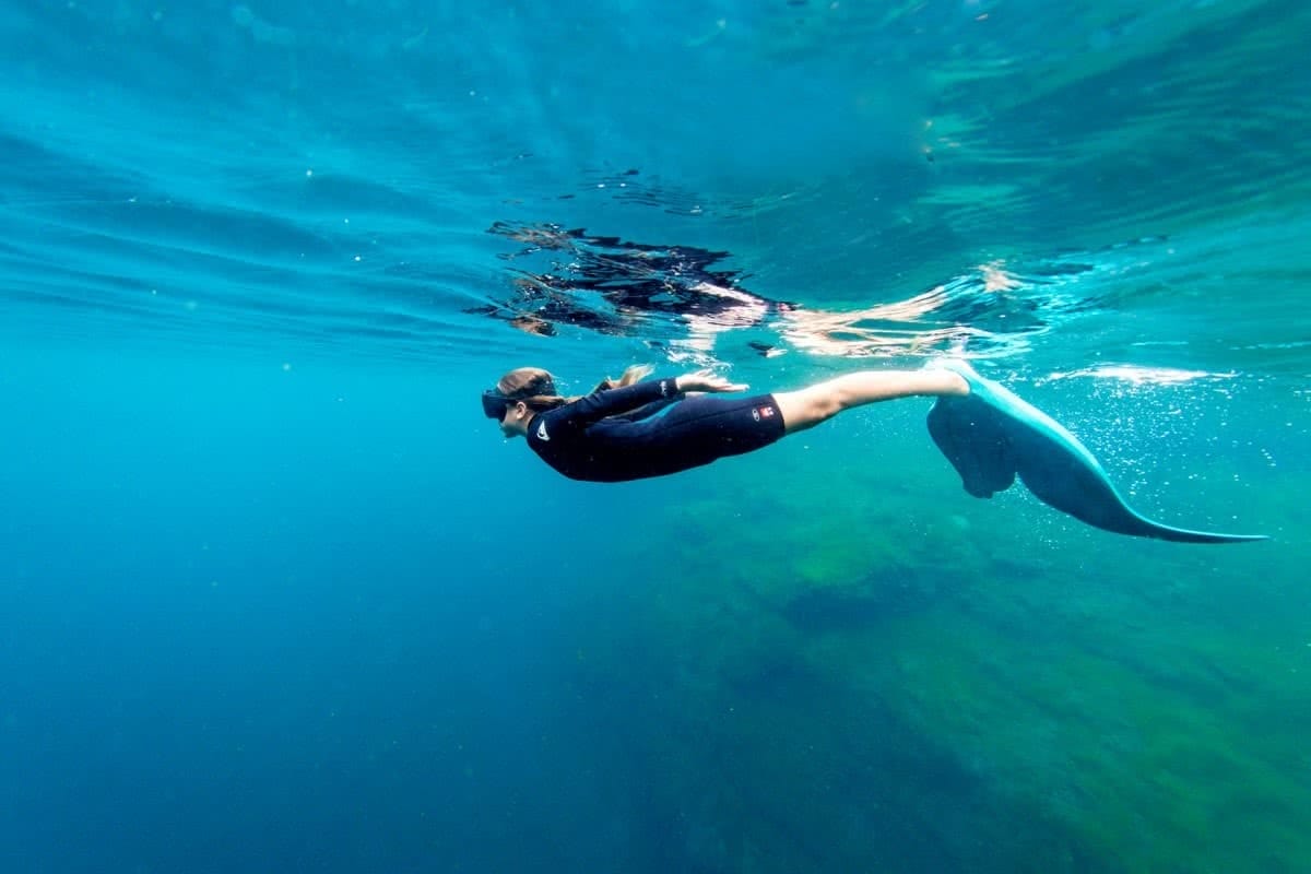 sinkhole caves, rainforests, mt gambier, tom sherrin woods