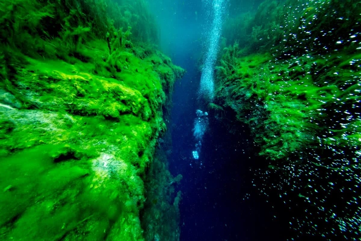 sinkhole caves, rainforests, mt gambier, tom sherrin woods