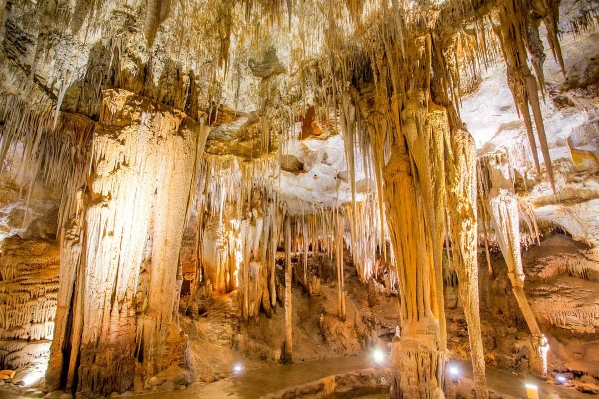 sinkhole caves, rainforests, mt gambier, tom sherrin woods
