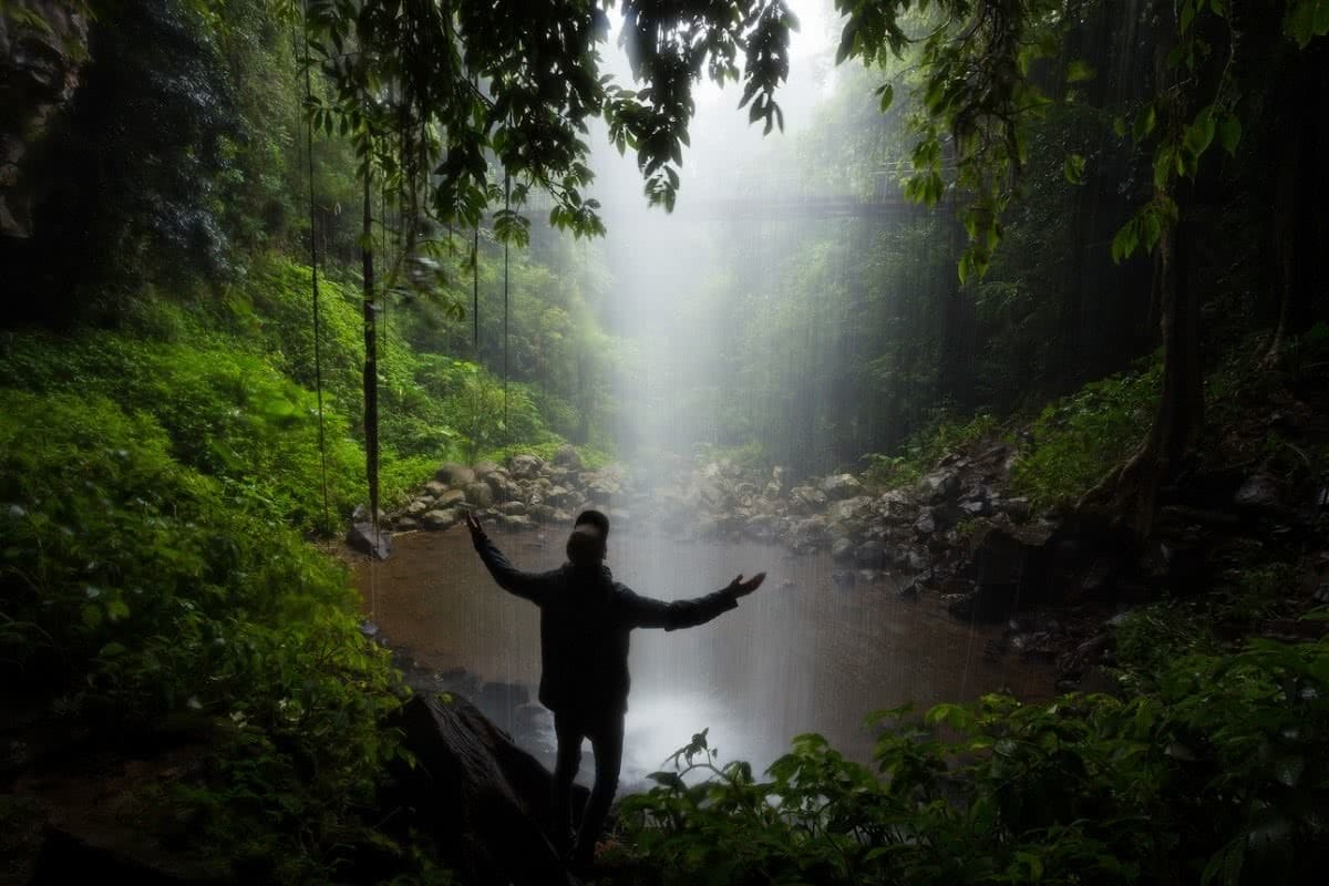 A Wet Monday Morning In Dorrigo National Park (NSW), Liam Hardy, waterfall, rainforest, pool, behind a waterfall, rainy