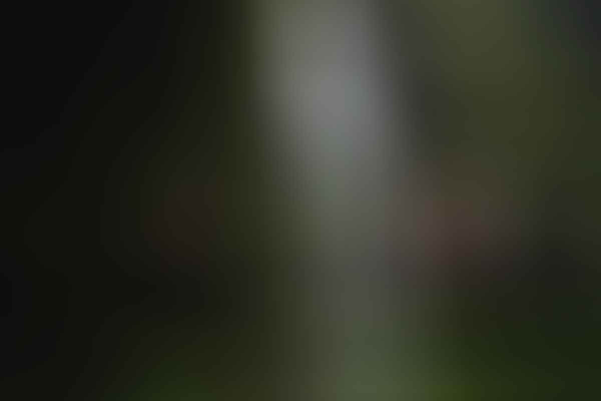 A Wet Monday Morning In Dorrigo National Park (NSW), Liam Hardy, behind a waterfall, cliff, overhang, damp, misty, green