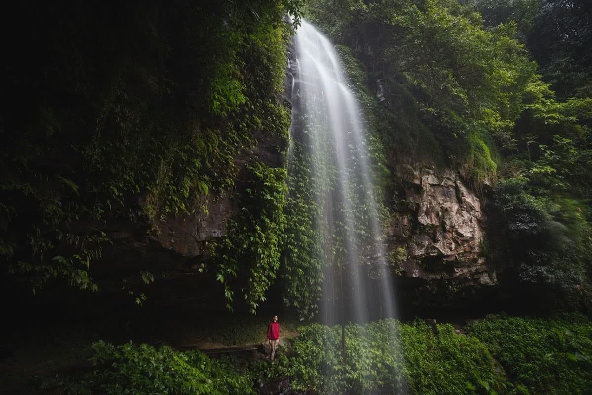 A Wet Monday Morning In Dorrigo National Park (NSW), Liam Hardy, behind a waterfall, cliff, overhang, damp, misty, green