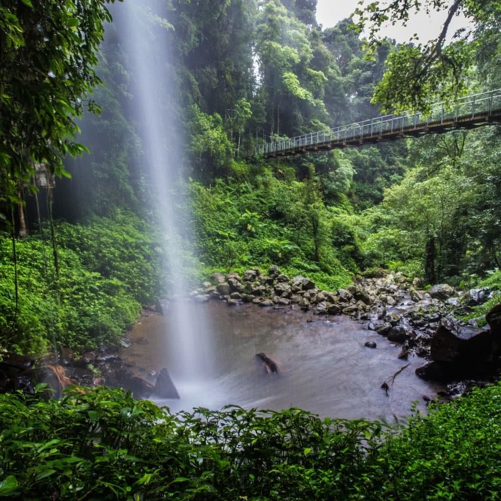 Crystal Shower Falls // Dorrigo National Park (NSW)