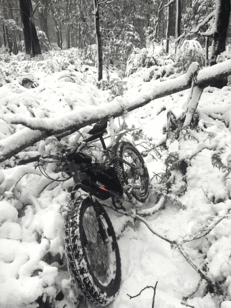Mt Donna Buang Cycling Microadventure // Yarra Valley (Vic) Euan Pennington fat bike, snow, trail, forest