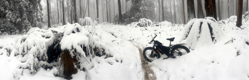 Mt Donna Buang Cycling Microadventure // Yarra Valley (Vic) Euan Pennington fat bike, snow, trail, forest