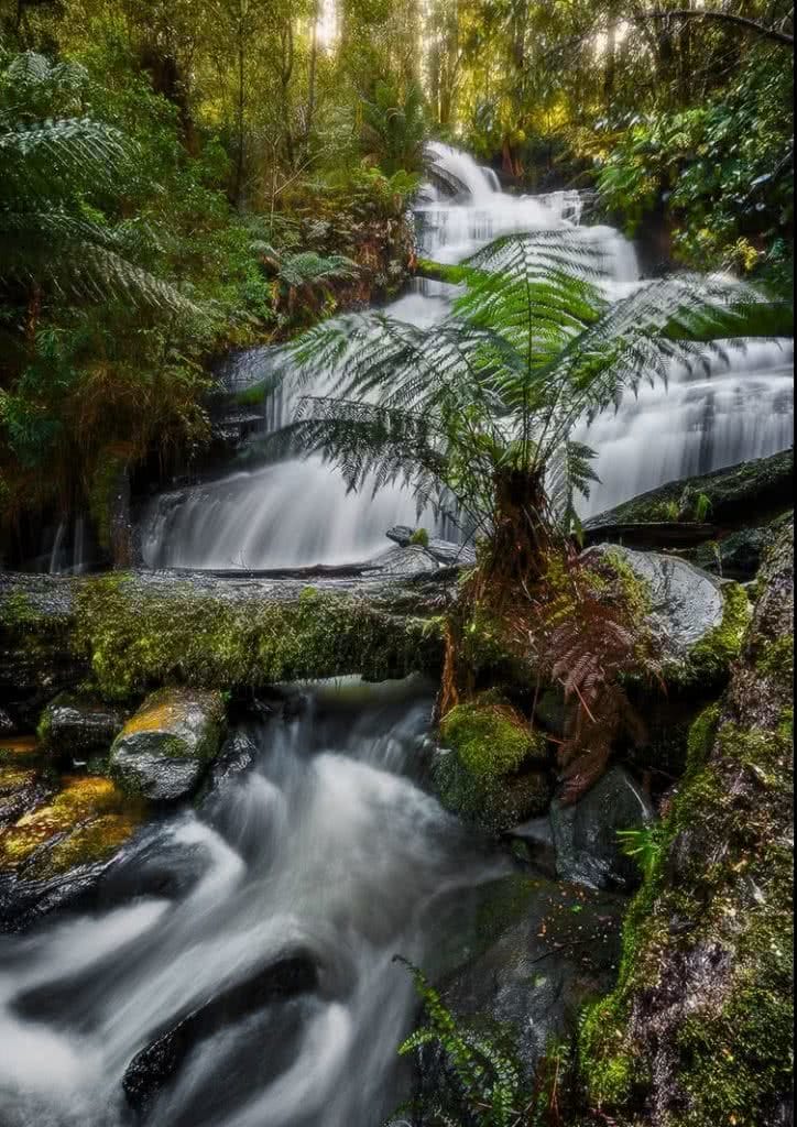 Photographing The Great Ocean Road (VIC) Keiran Stone, triplet_falls, long exposure, waterfall, tree fern