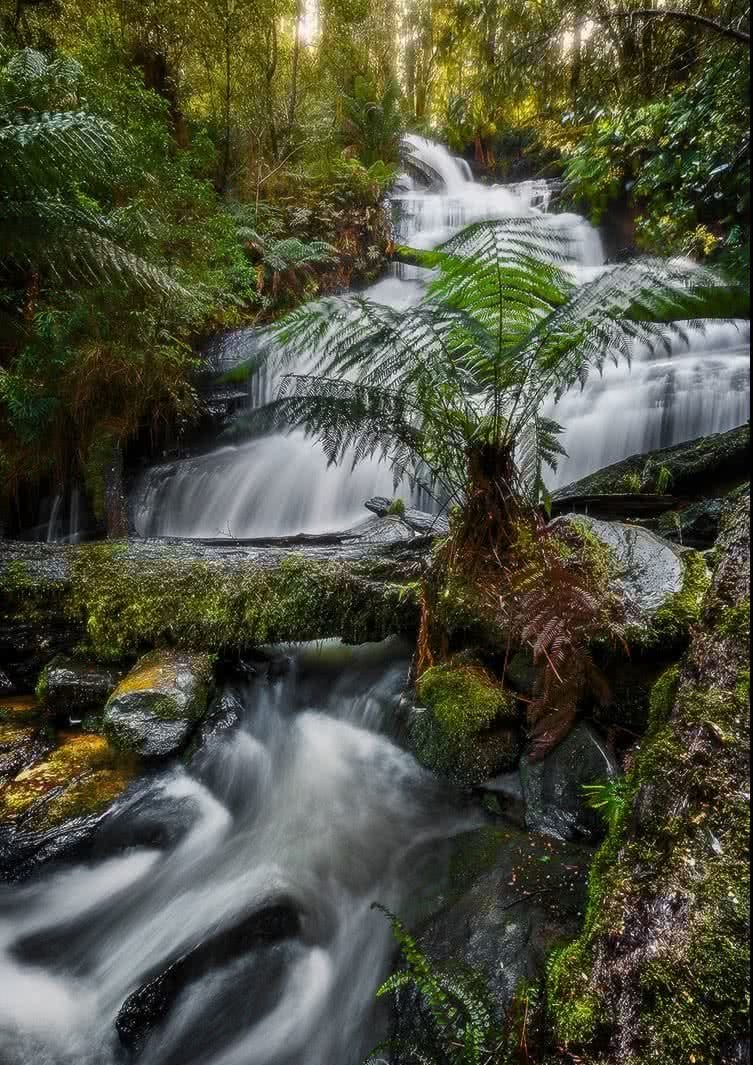 Photographing The Great Ocean Road (VIC) Keiran Stone, 9_triplet_falls, long exposure, waterfall, tree fern