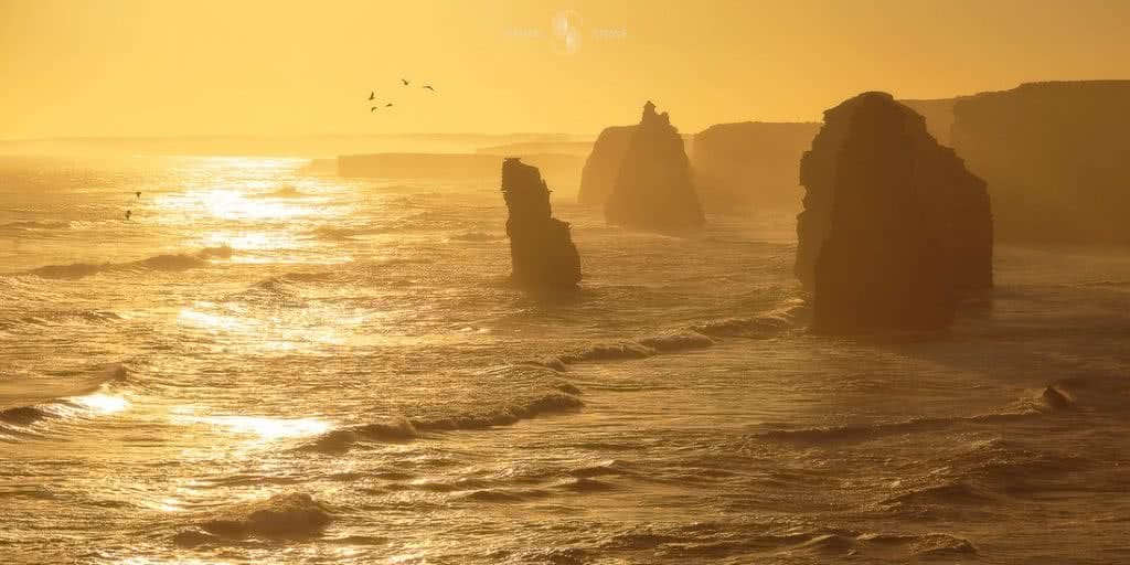 Photographing The Great Ocean Road (VIC) Keiran Stone, 12 apostles, sunset, yellow, rock stacks, waves, birds, mist