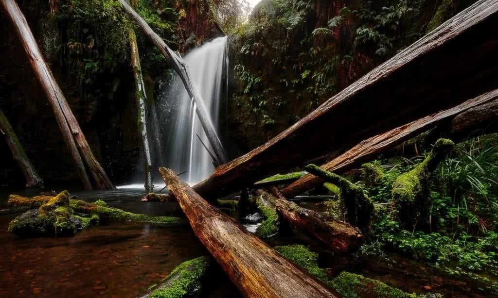 Photographing The Great Ocean Road (VIC) Keiran Stone, 1_marriners_falls, waterfall, fallen log, greenery, pool