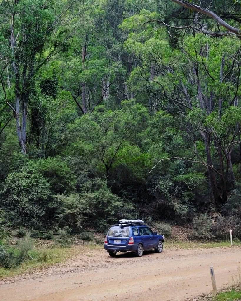 Camping The Deua (NSW) Eliot Duffy forest dirt road car 4WD