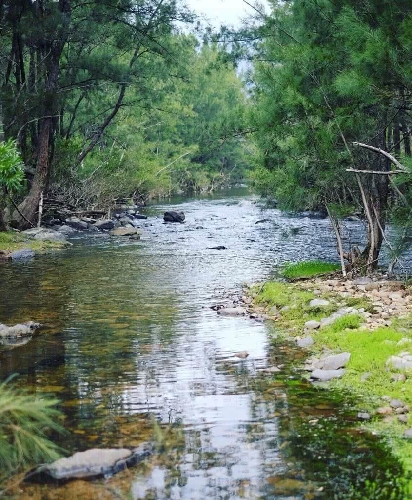 Camping The Deua (NSW) Eliot Duffy River forest
