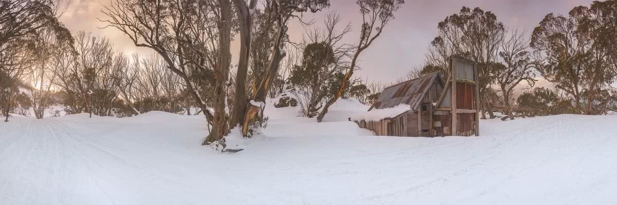 Solo Snowshoeing The High Plains // Falls Creek (VIC), Michael Harris, hut, tree, panoramic, cabin