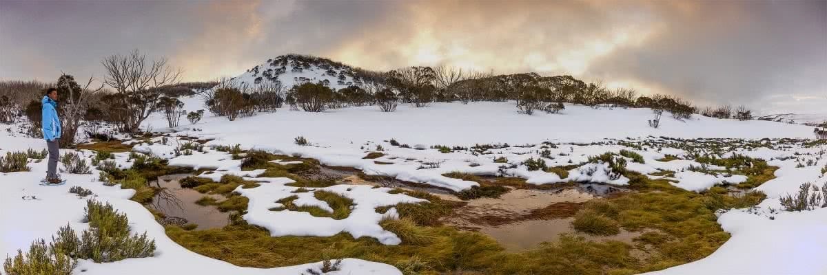 Solo Snowshoeing The High Plains // Falls Creek (VIC), Michael Harris, peak, sunrise, icy, snow, white