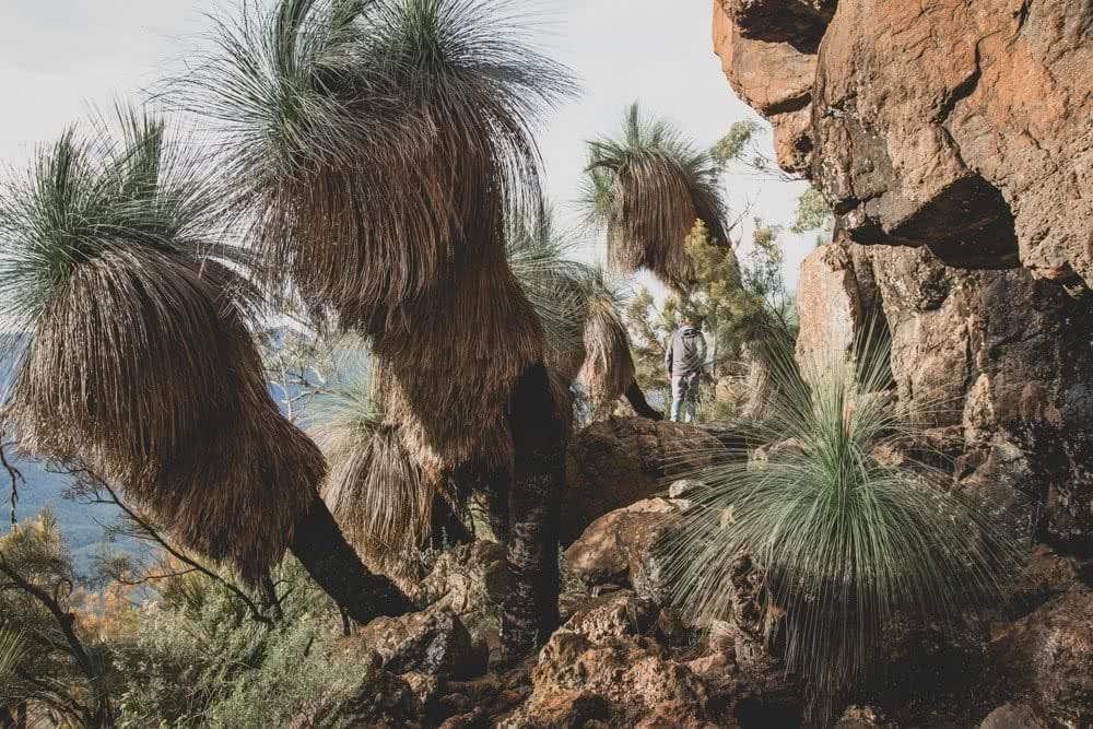 Alex Pike Mount Kaputar National Park mountain view NSW